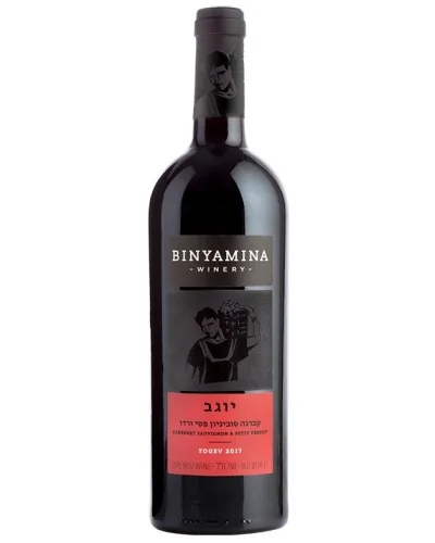 Binyamina Cabernet Sauvignon Petit Verdot Yogev 750ml - 