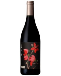 Botanica Pinot Noir 750ml - 