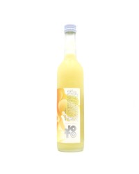 Joto Sake Yuzu 500ml -