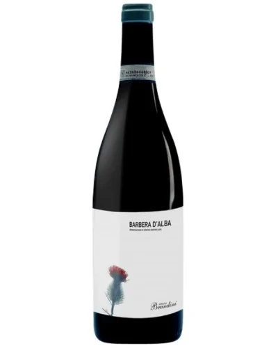 Brandini Barbera d'Alba - 