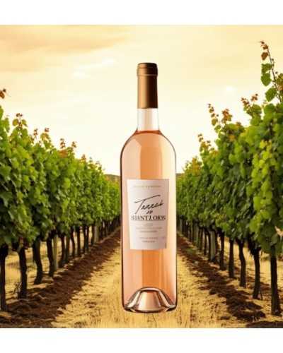 Terres de Saint Louis Coteaux Varois en Provence Rose 720ml