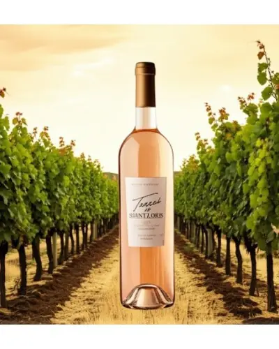 Terres de Saint Louis Coteaux Varois en Provence Rose 750ml