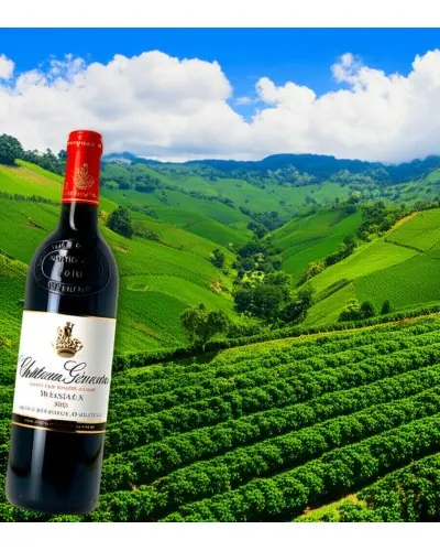 2010 Chateau Giscours Margaux Grand Cru Classe 750ml