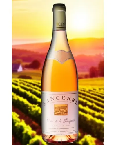 Thierry Veron Sancerre Cave de la Bouquette Rose 750ml