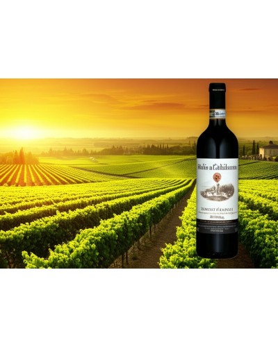 Badia a Coltibuono Chianti Classico Riserva 750ml