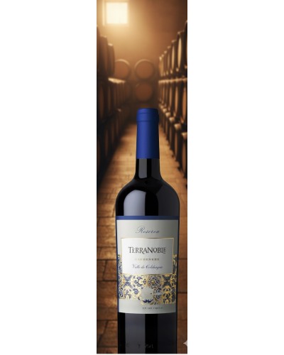 TerraNoble Reserva Carmenere 750ml