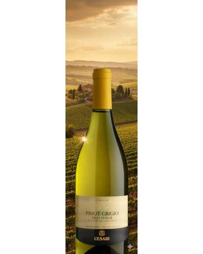 Gerardo Cesari Fiorile Pinot Grigio 750ml