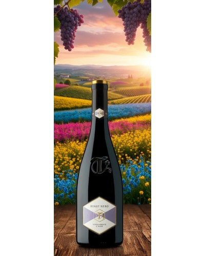 La Tunella Colli Orientali del Friuli Pinot Nero 750ml