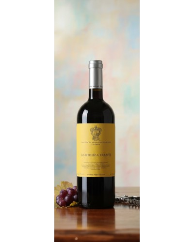 Marchesi di Gresy Barbera d'Asti 750ml