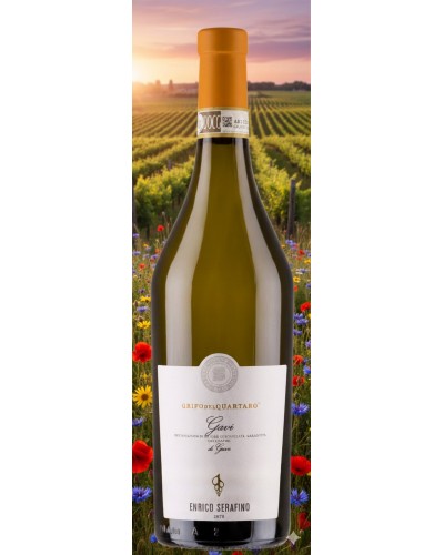 Enrico Serafino Barbera d'Alba 750ml