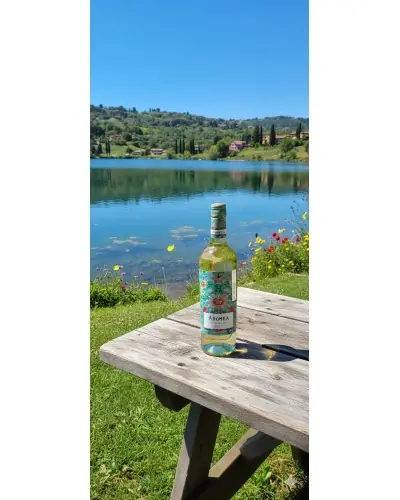 Aromea Puglia Pinot Grigio 750ml