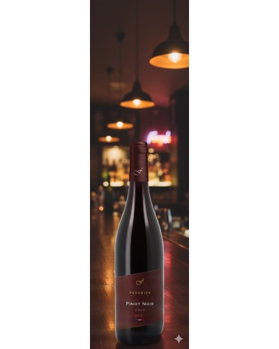 Domaine Fournier Pere et Fils Vin de France Pinot Noir 750ml