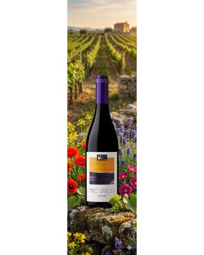 Feudi del Pisciotto Sicilia Nero d'Avola 750ml