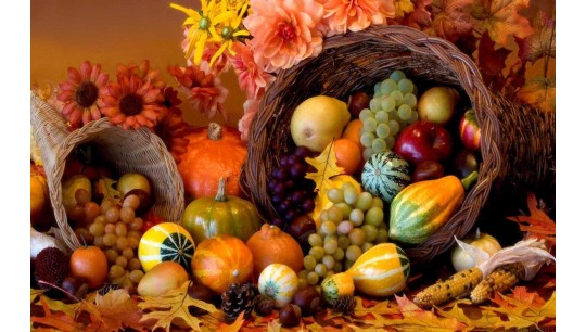 Oktoberfest in Farmington: A Bavarian Celebration at La Vinotheque